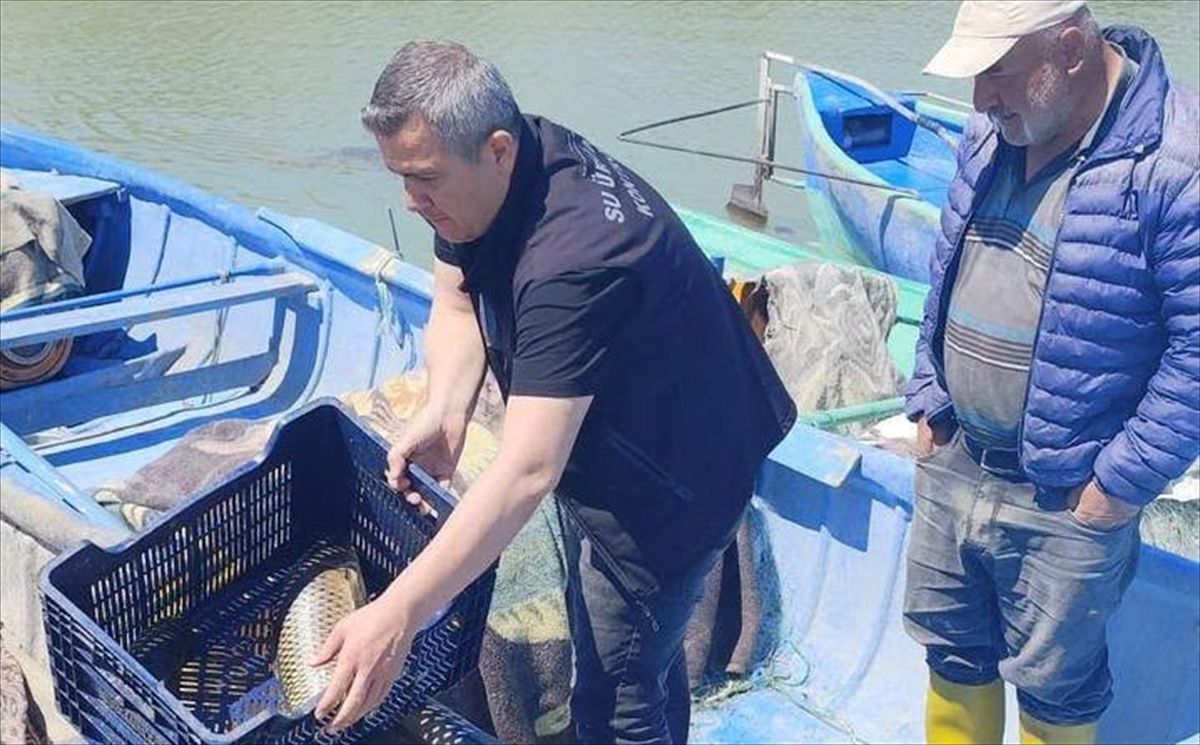 Beyşehir'den kısa kısa
