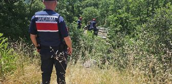 Bilecik'te devrilen otomobilin sürücüsü yaralandı