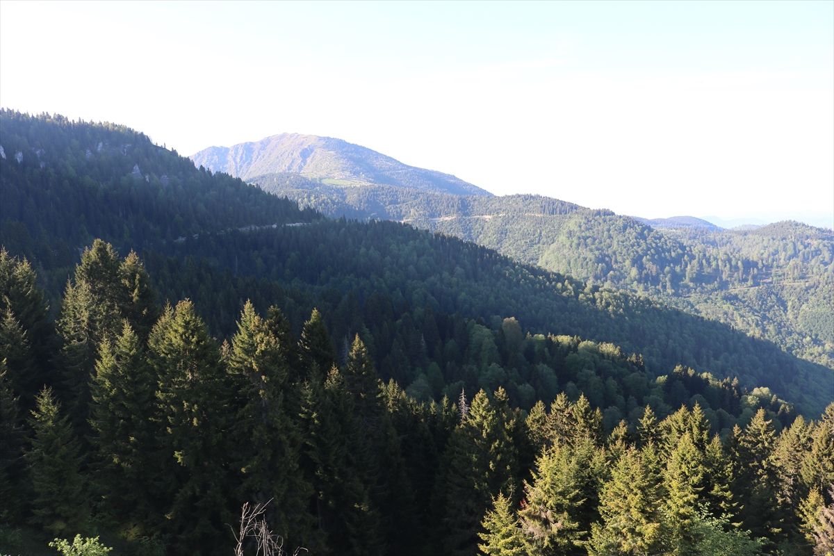 Giresun yaylaları ve doğa manzarası