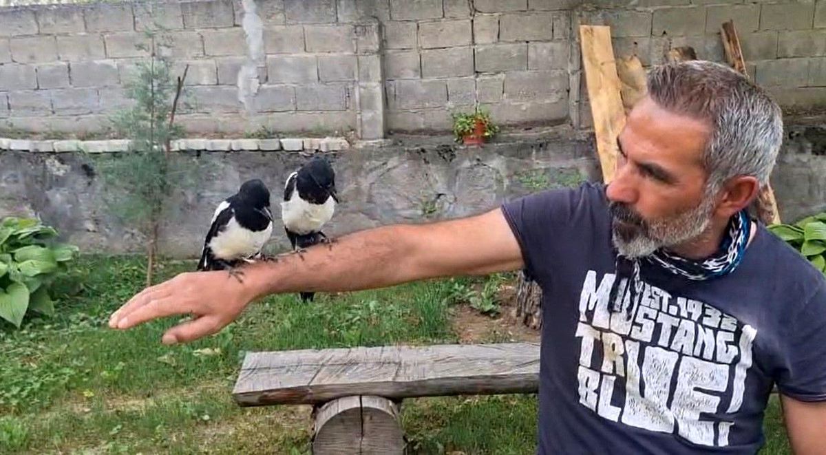 Erzincan'da bir vatandaşın elinde tuttuğu yavru kuş.
