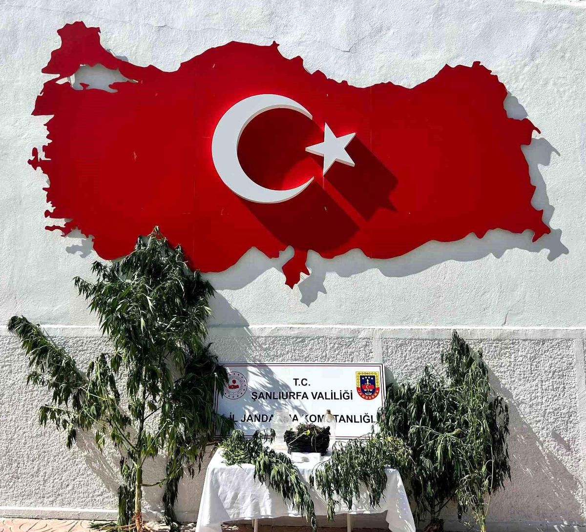Şanlıurfa Hilvan'da jandarma uyuşturucu operasyonu