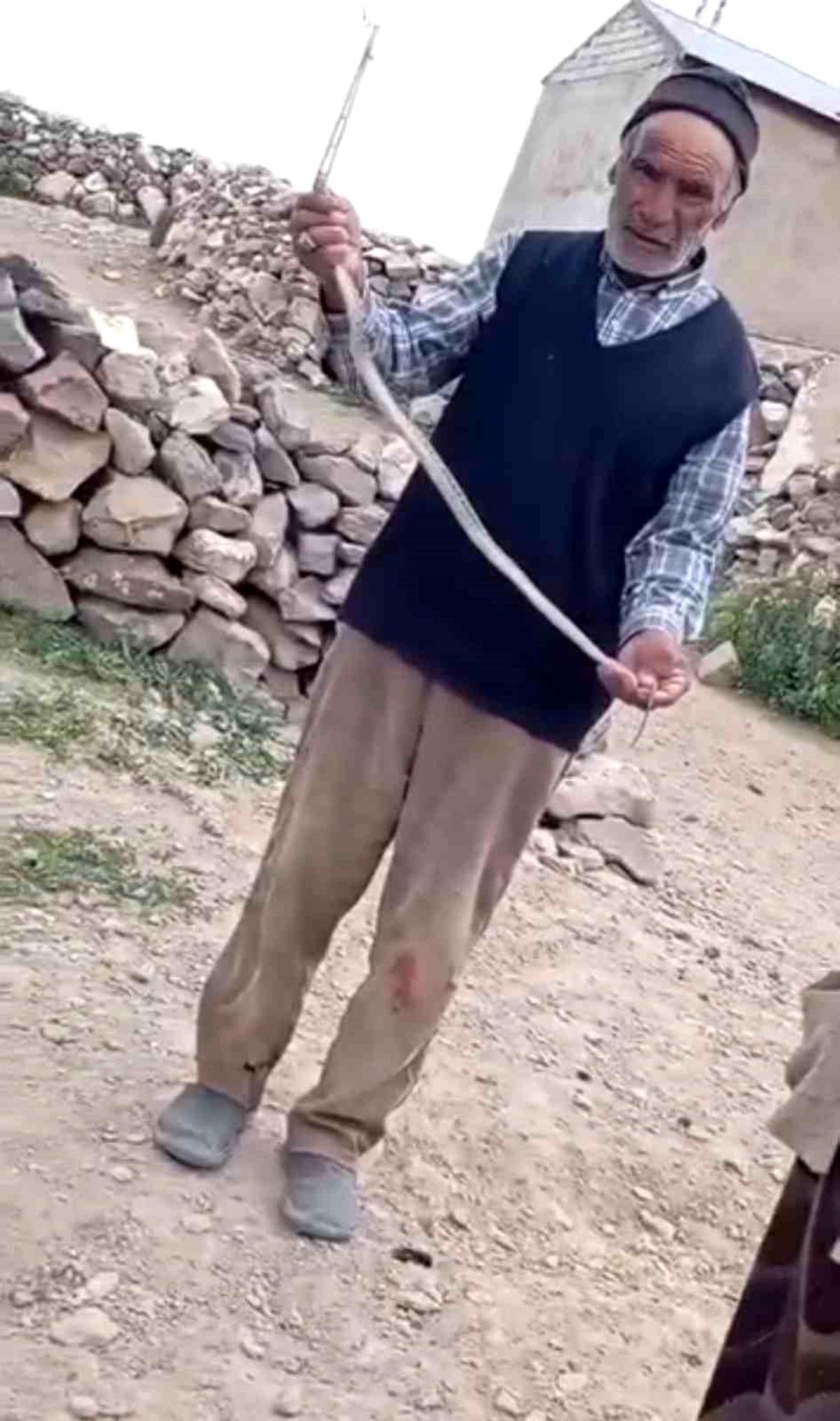 Iğdır'da duvar arasında sıkışan yılanın kurtarılma anı