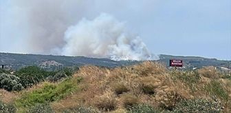 İzmir'de çöplükten makilik alana sıçrayan yangına müdahale ediliyor