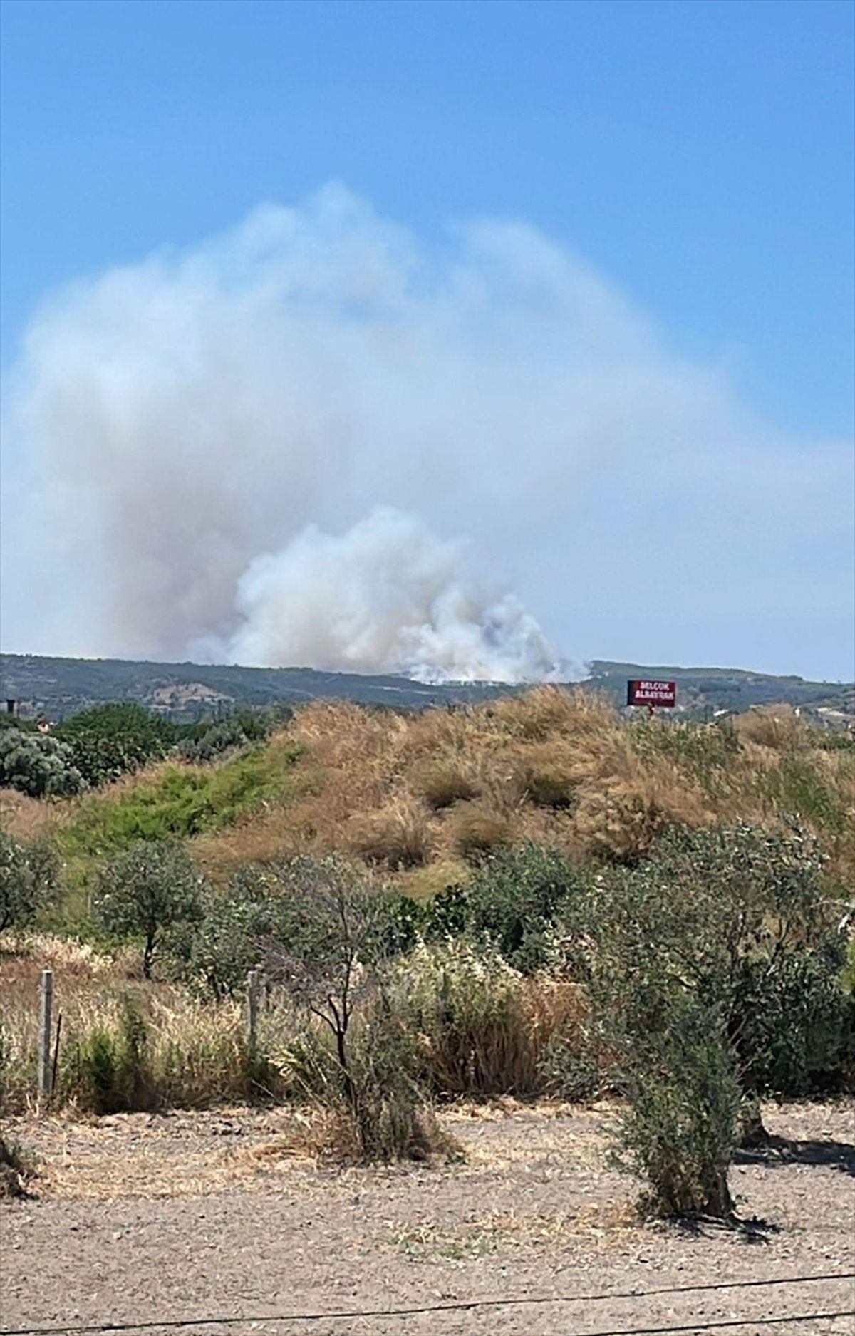 İzmir'de çöplükten makilik alana sıçrayan yangına müdahale ediliyor