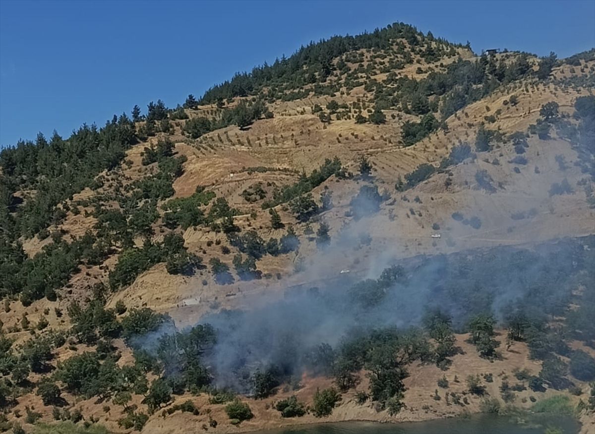 Kahramanmaraş'ta çıkan orman yangını kontrol altına alındı