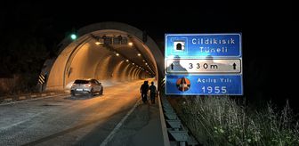 Karabük'te tünelde otomobilin çarptığı bozayı yaralandı