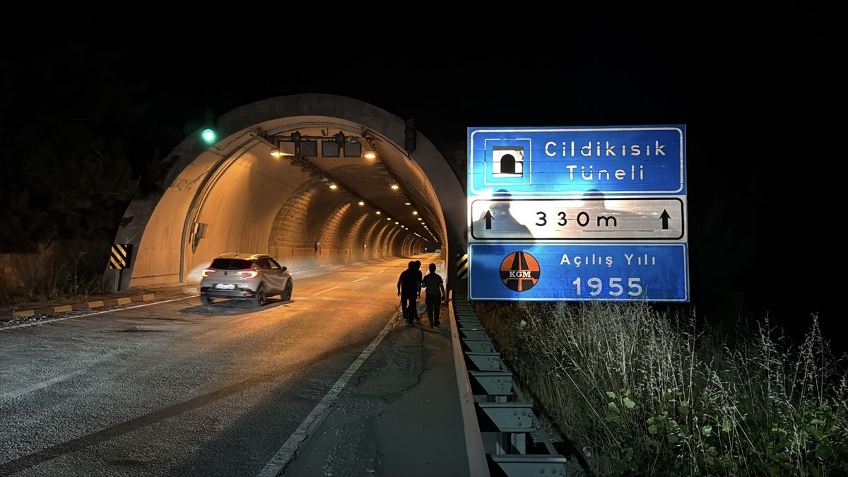 Karabük'te tünelde otomobilin çarptığı bozayı yaralandı