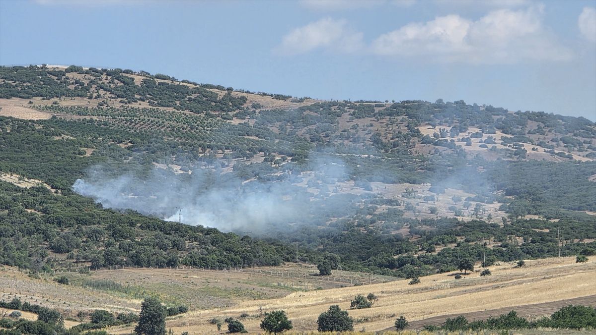 Manisa'da makilikte çıkan yangın kontrol altına alındı
