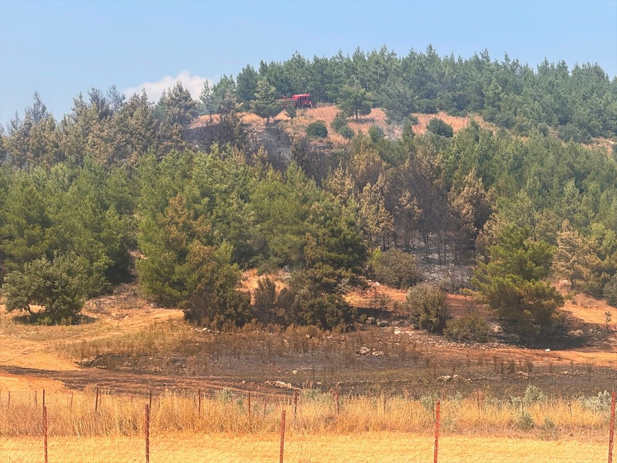 Muğla'da orman yangını kontrol altına alındı