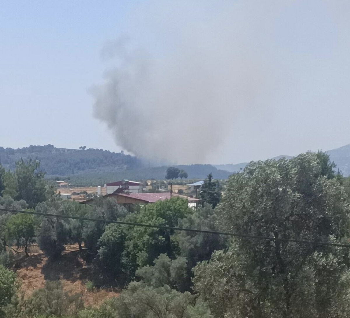 Muğla Seydikemer orman yangını söndürme çalışmaları