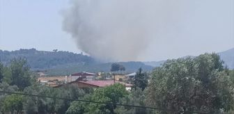 Muğla'nın Seydikemer ilçesinde orman yangını çıktı