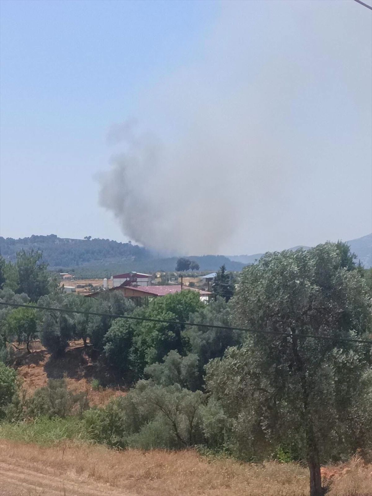 Muğla'nın Seydikemer ilçesinde orman yangını çıktı
