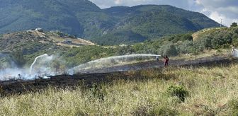 Sakarya'da makilik alanda çıkan yangın söndürüldü