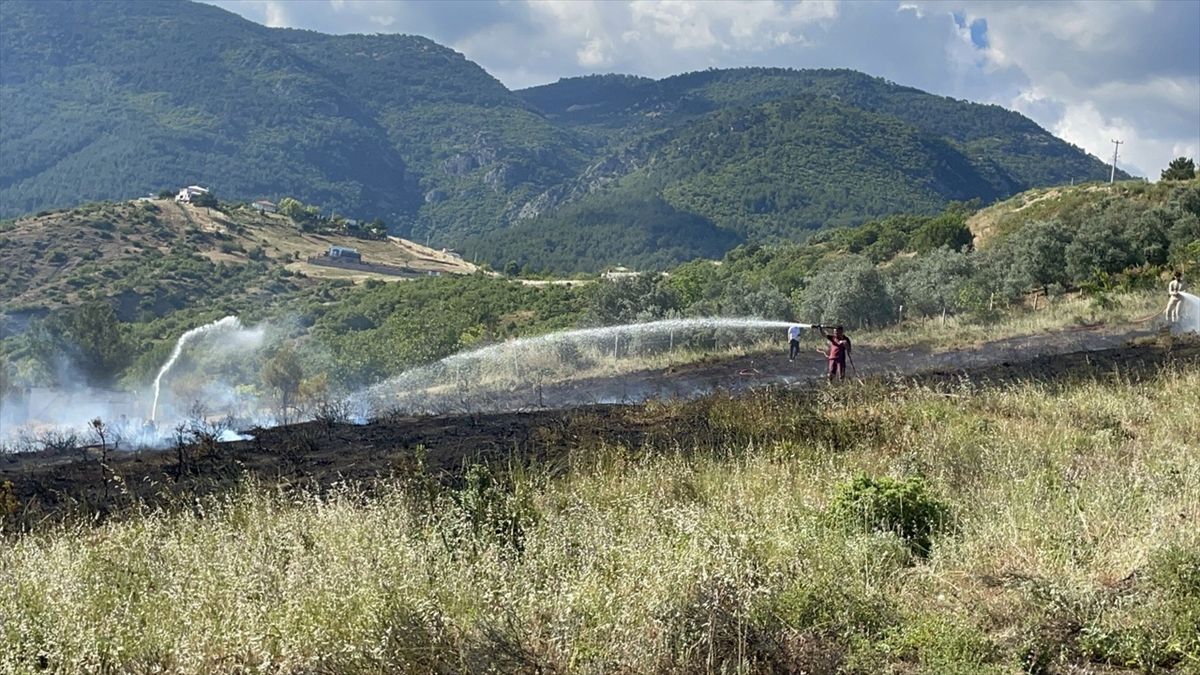 Sakarya'nın Pamukova ilçesinde makilik alanda çıkan yangın sonrası zarar gören alan.