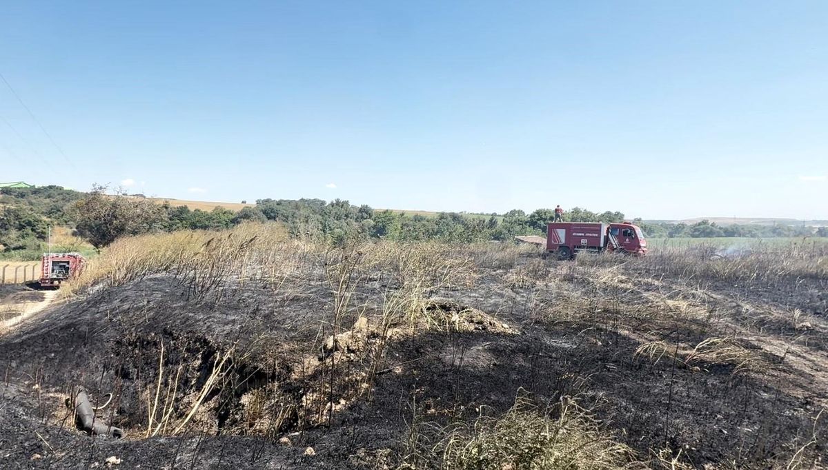 Silivri'de otluk alanda çıkan yangına itfaiye ekiplerinin müdahalesi