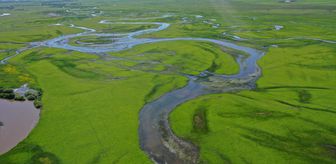 Ardahan'da yeşile bürünen Kura Nehri'nin menderesleri FPV dronla görüntülendi