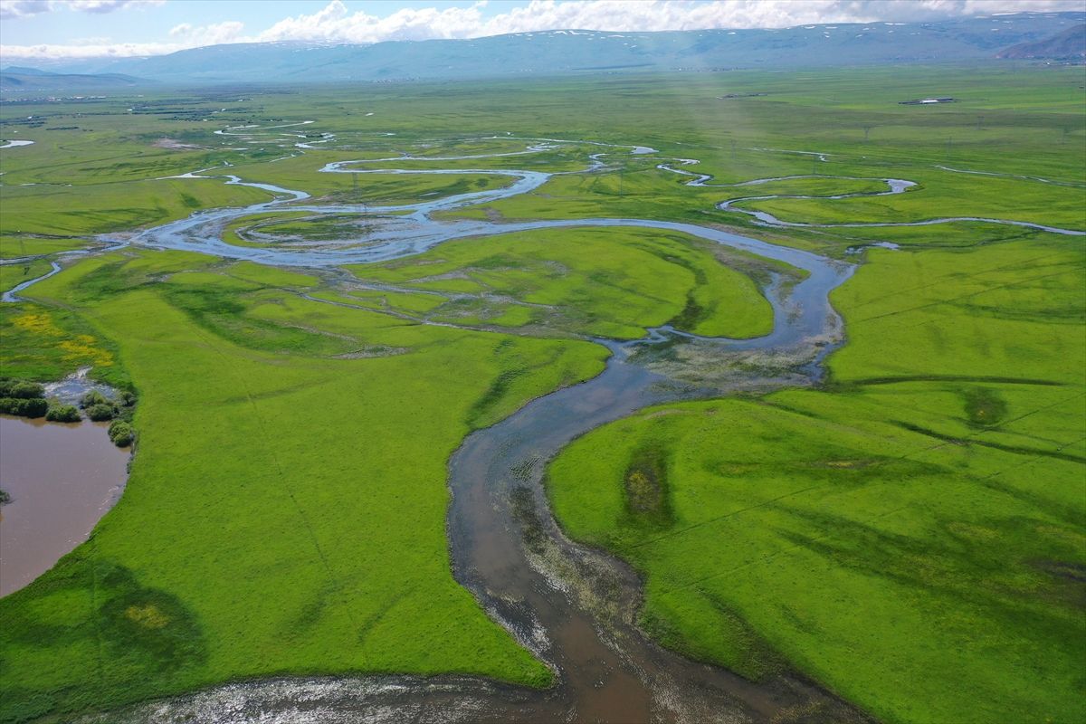 Ardahan'da yeşile bürünen Kura Nehri'nin menderesleri FPV dronla görüntülendi