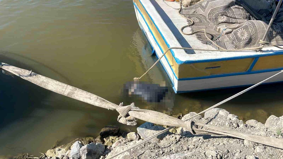 Asi Nehri'nde erkek cesedi bulundu