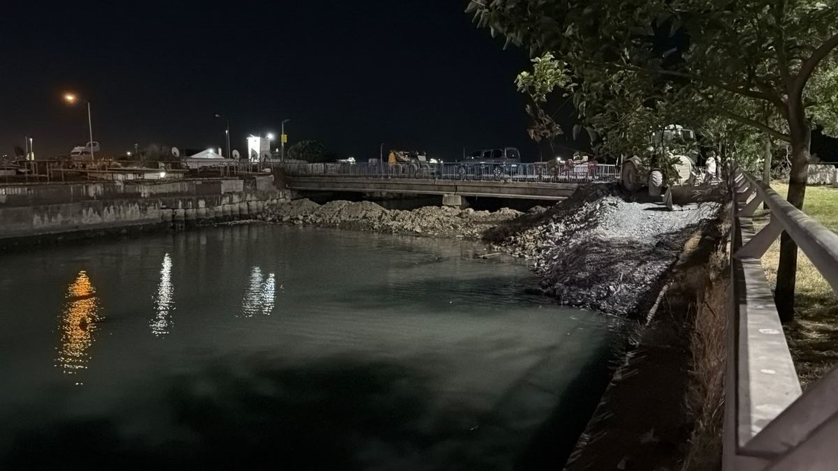 Bakırköy Çırpıcı Deresi'nde toplu balık ölümü