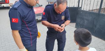Çorum'da binanın çatısına sıkışan kırlangıç itfaiye ekiplerince kurtarıldı