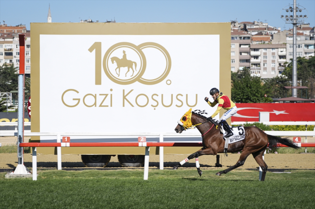 Winning Horse