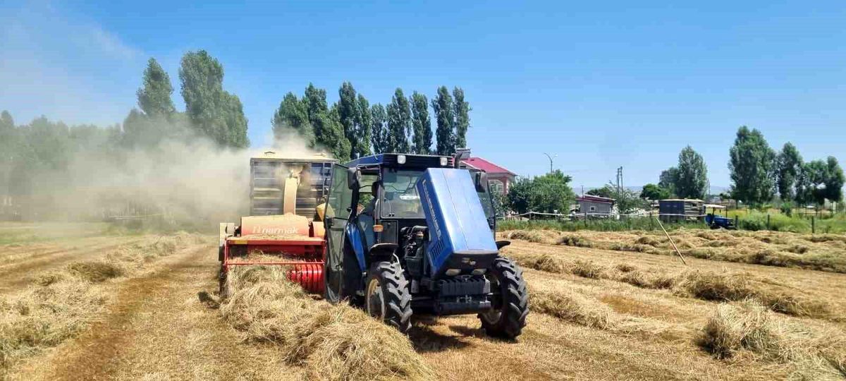 Hasköy'de çiftçilerin kışlık yem mesaisi sürüyor