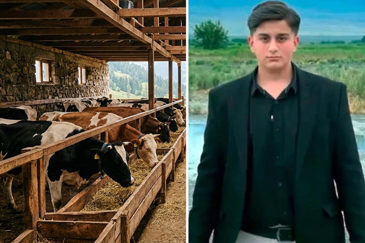 Iğdır'da büyükbaş hayvanın darbesiyle ağır yaralanan kişi hayatını kaybetti