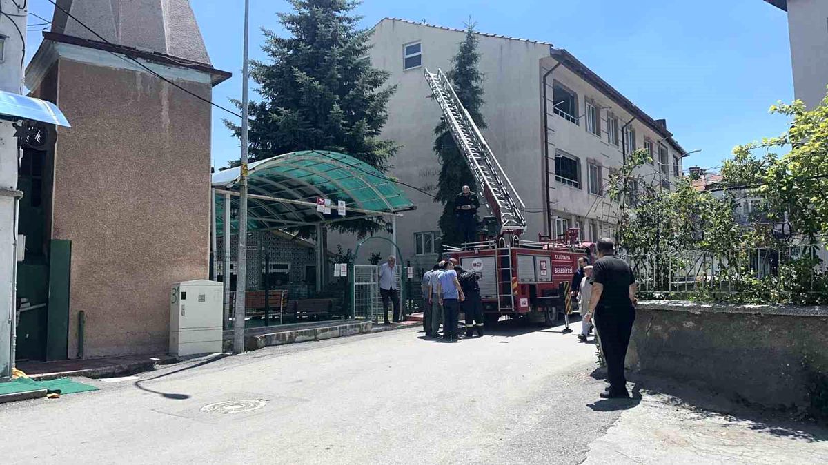 Kütahya'da ağaca takılan serçe itfaiye ekiplerince kurtarıldı