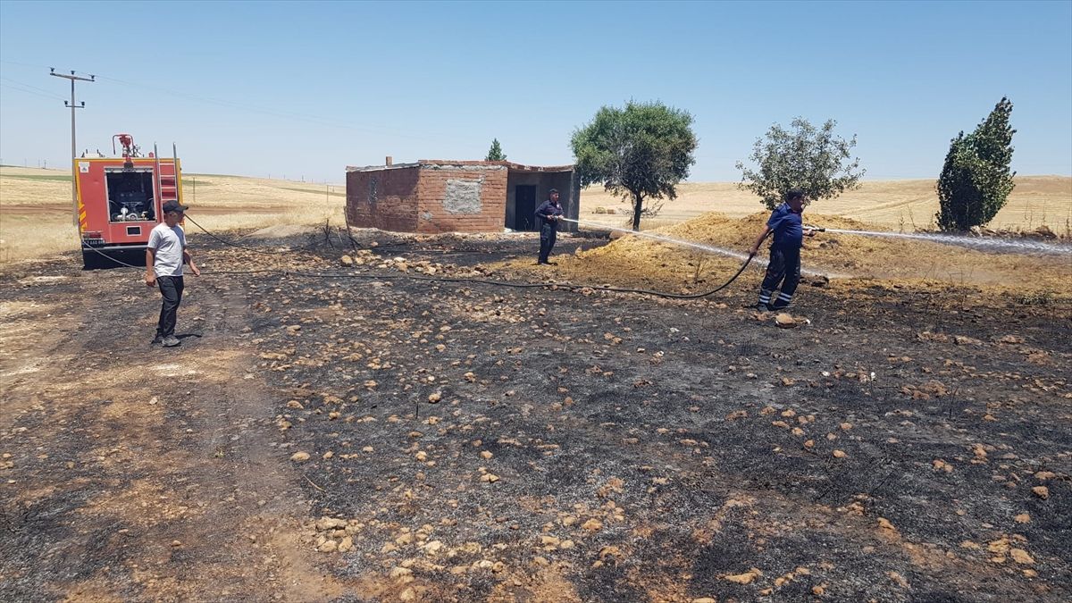 Mardin'de 4 ilçede çıkan yangınlar itfaiye ekiplerinin müdahalesiyle söndürüldü.