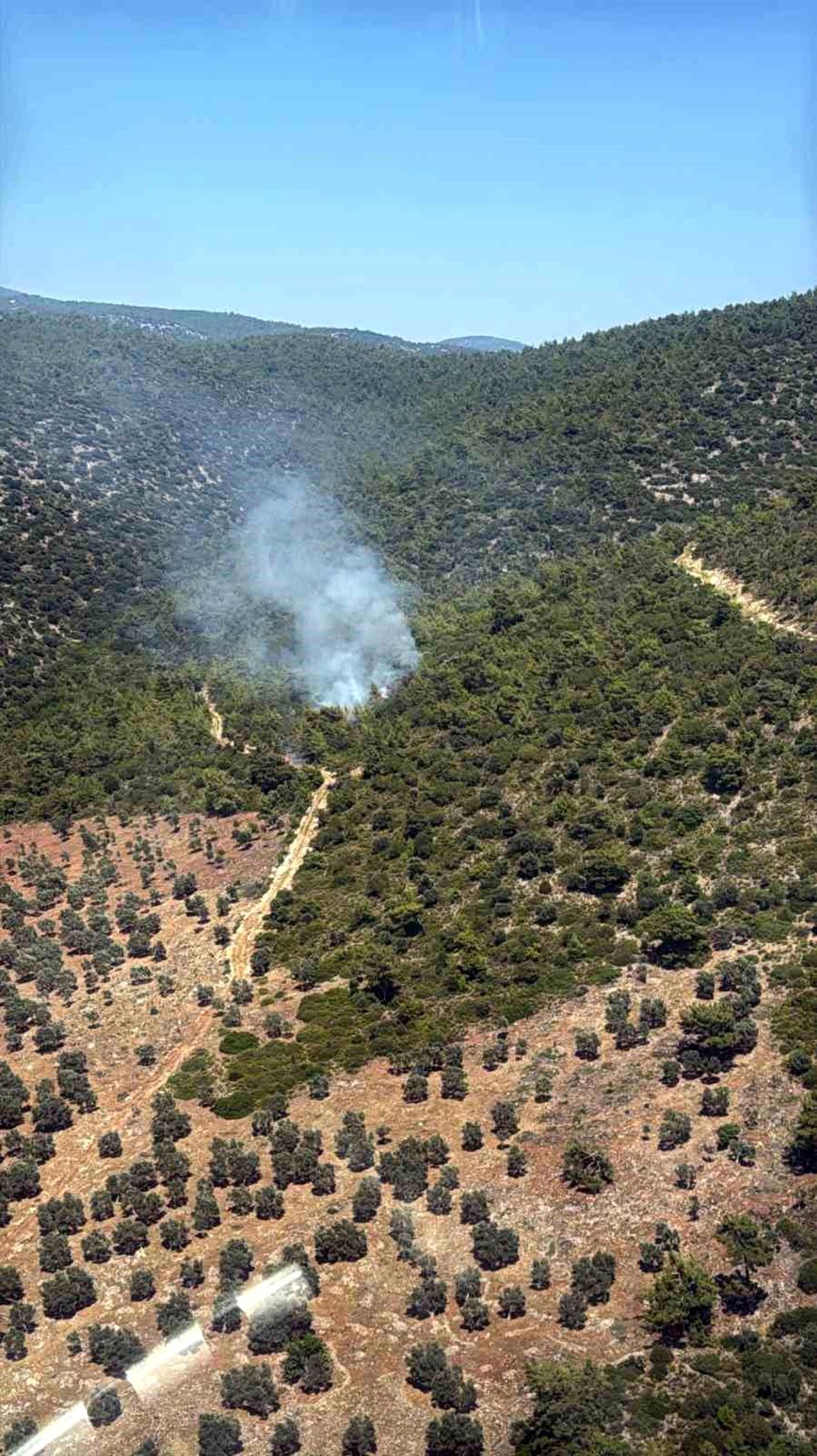 Milas Kazıklı Koyu'nda makilik alanda yangın çıktı