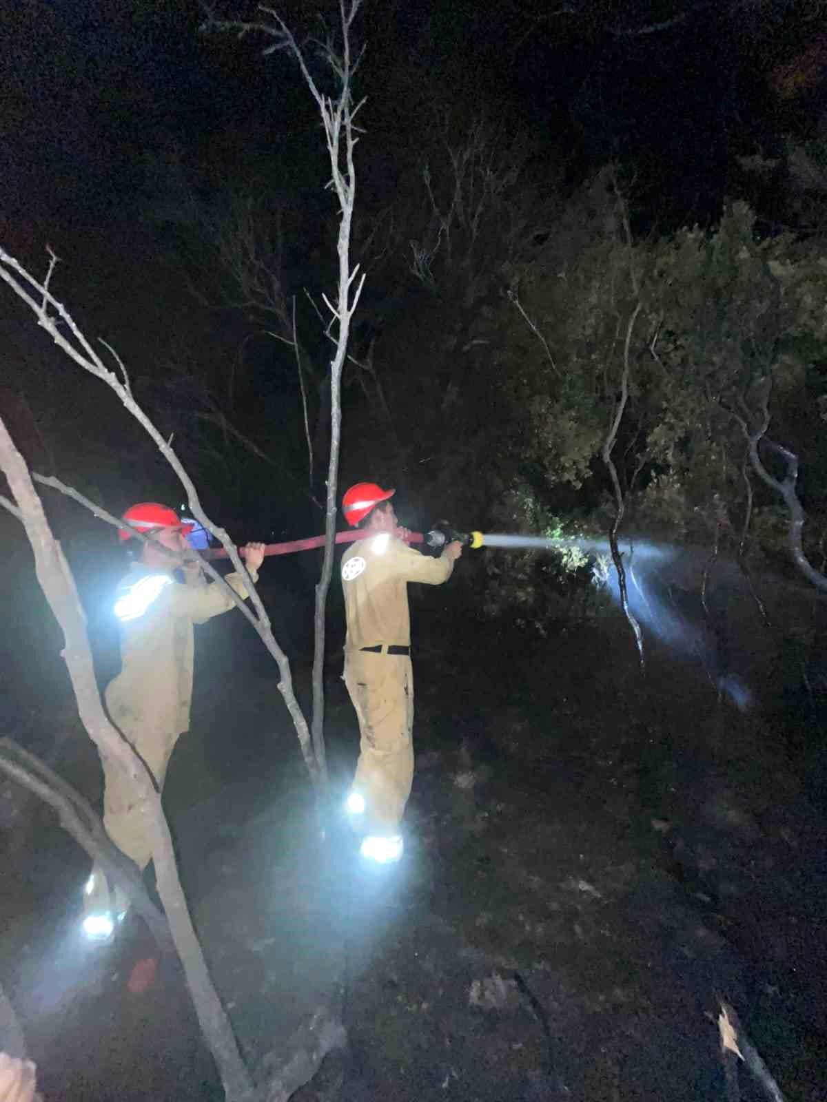Muğla'nın Dalaman ilçesinde ormanlık alanda çıkan yangın söndürme çalışmaları.