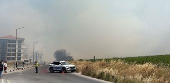 Silivri'de kırsal alanda çıkan yangına müdahale ediliyor