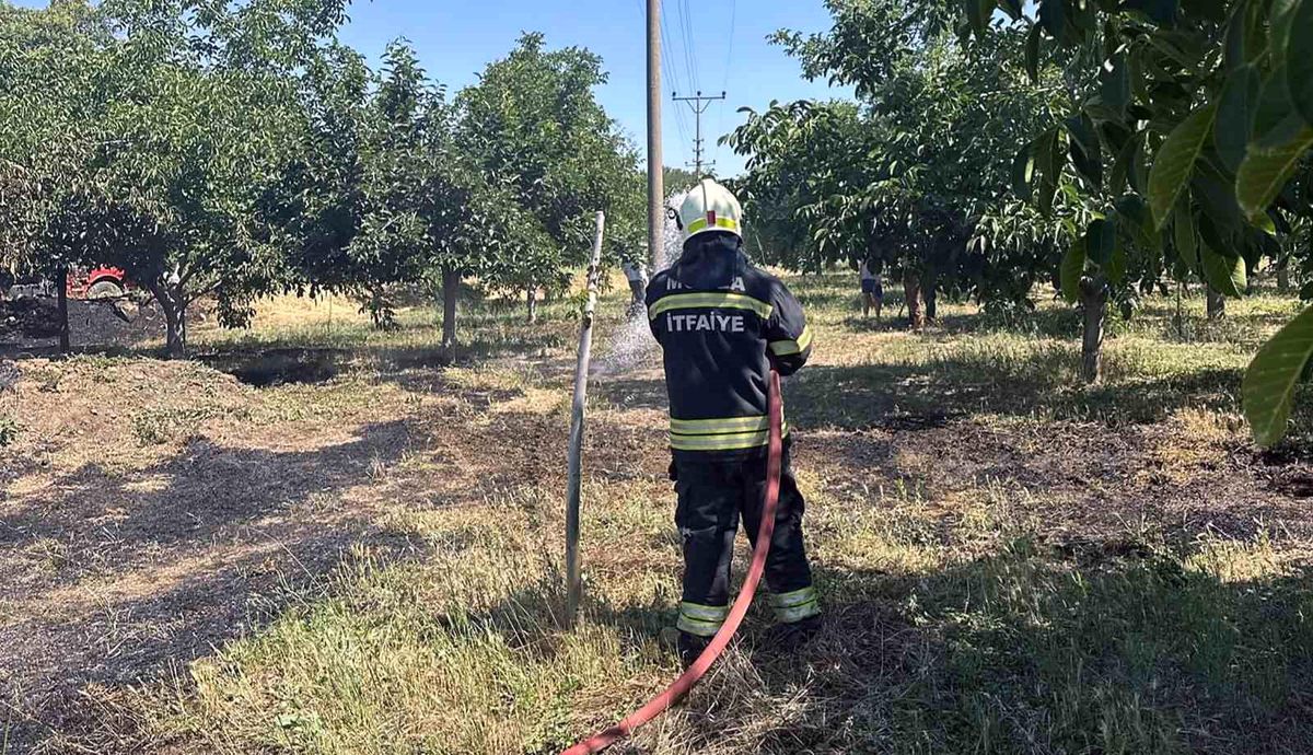 Arazi yangınları büyümeden söndürüldü