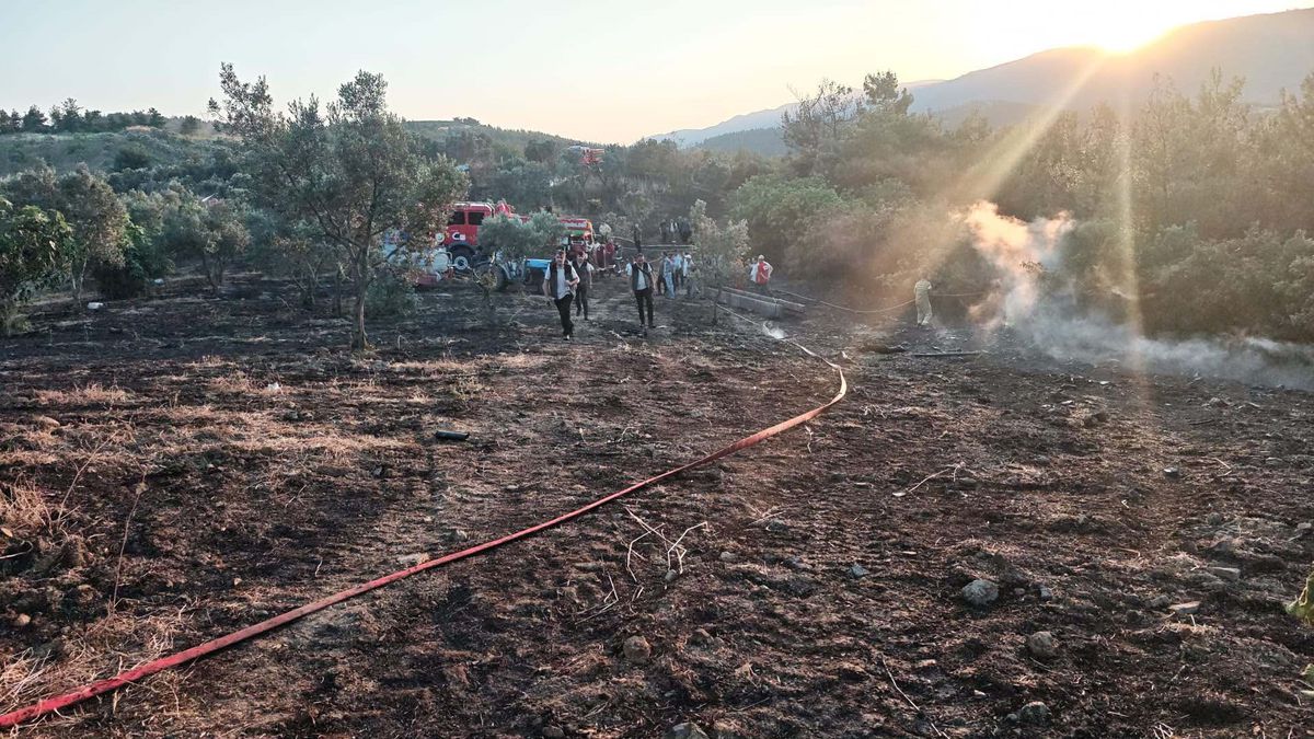 Bilecik'in Osmaneli ilçesinde tarım arazisinden ormana sıçrayan yangının söndürülme anı.