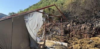 Bursa'da ağılda çıkıp ormana sıçrayan yangına müdahale ediliyor