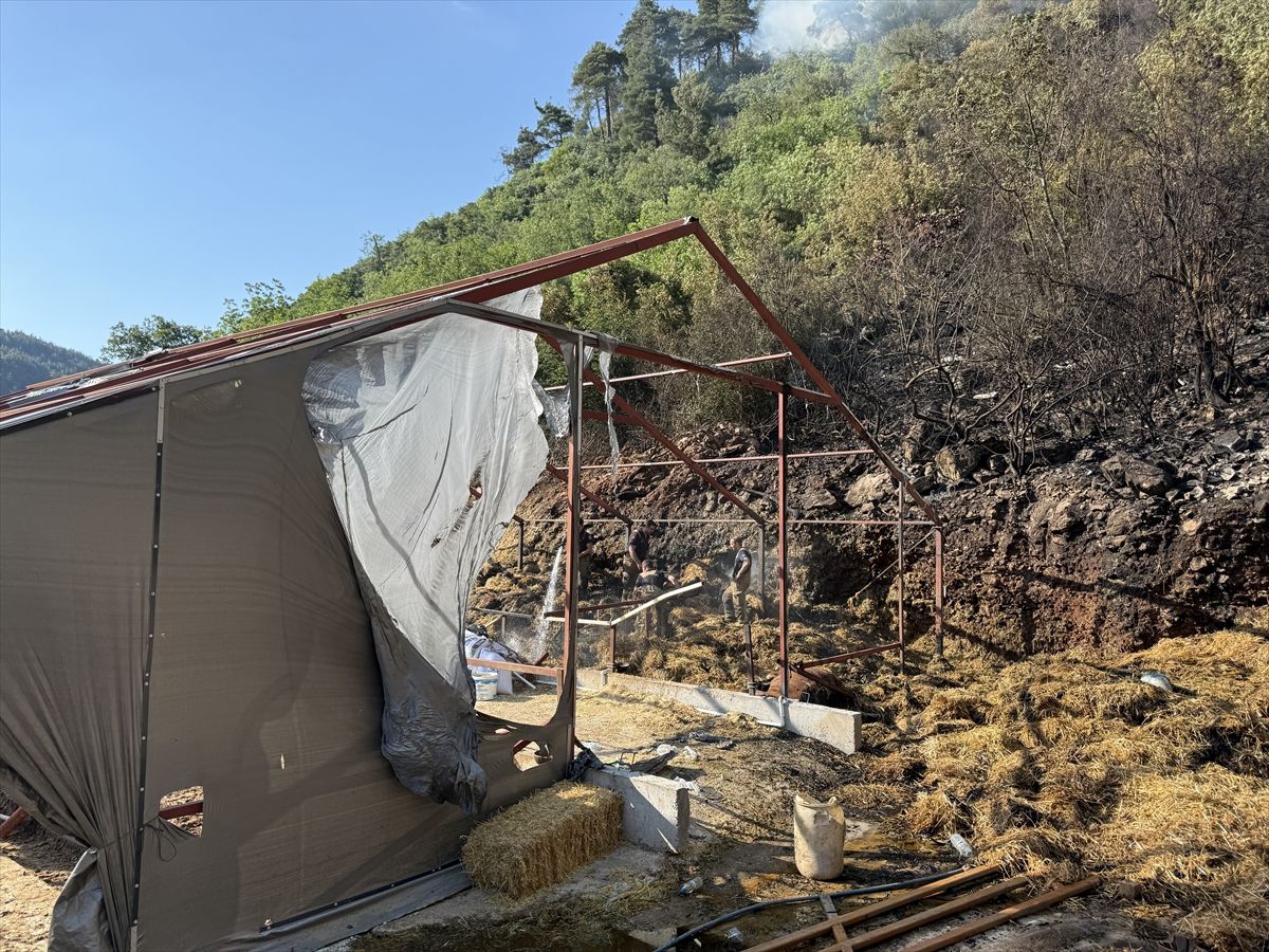 Bursa Osmangazi'de ormanlık alanda çıkan yangına müdahale ediliyor