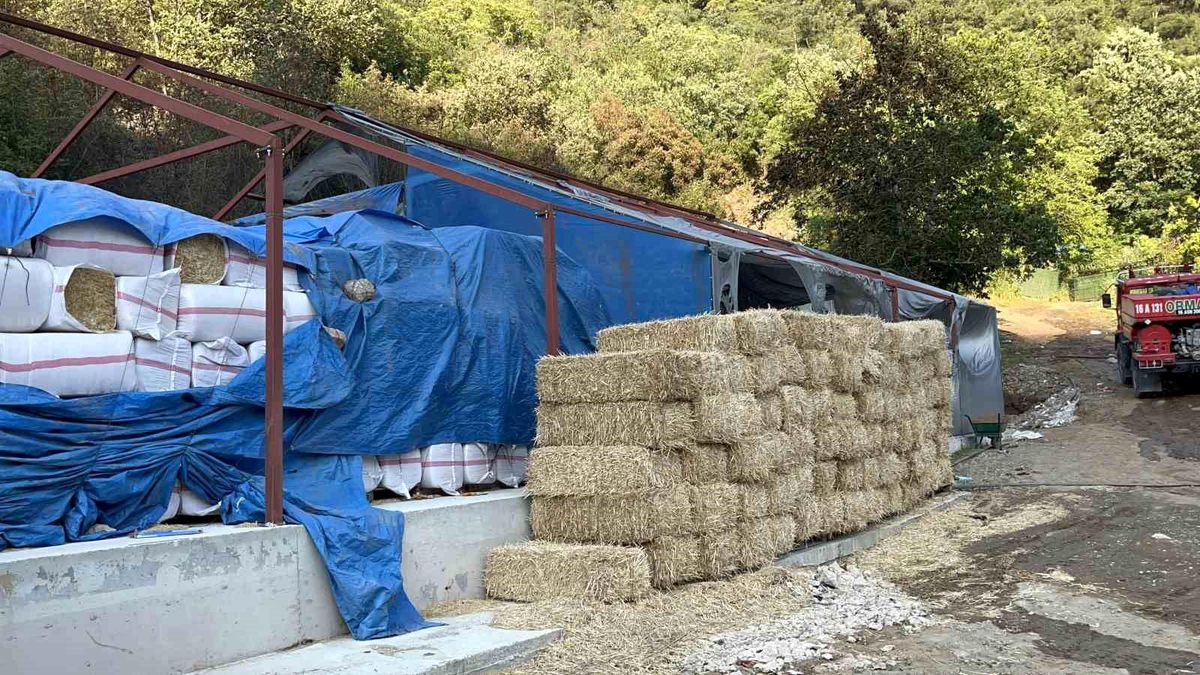 Bursa'daki orman yangınında 1 kişi gözaltına alındı
