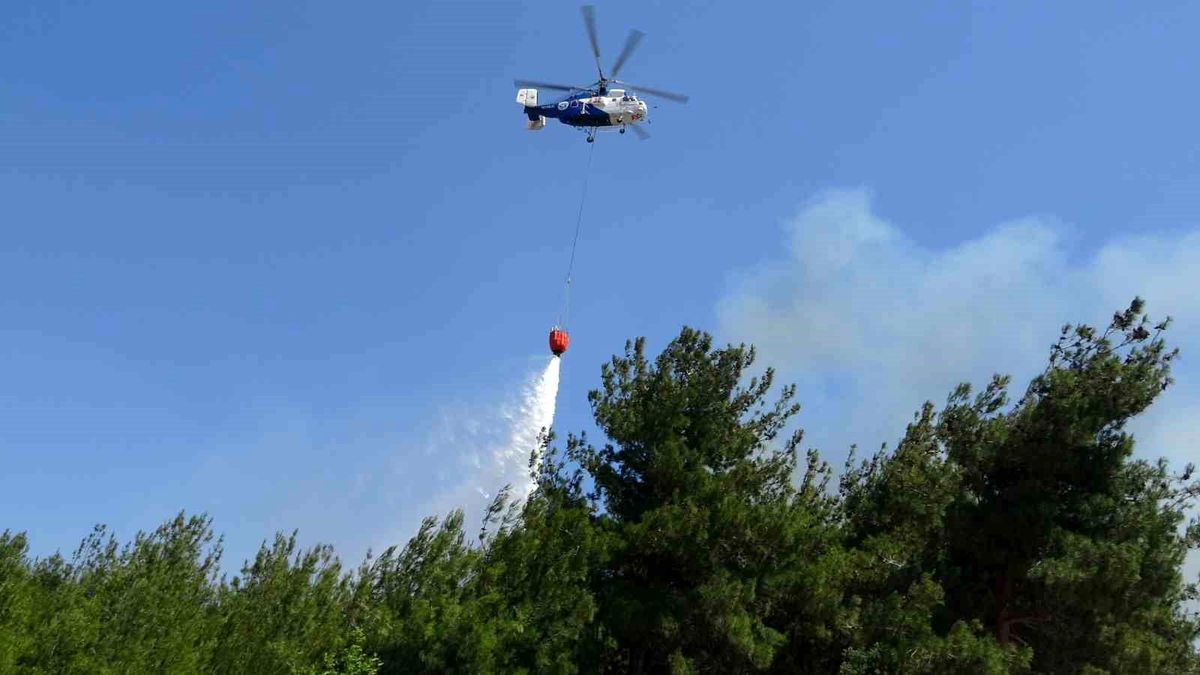 Çanakkale'de tarım arazisinde çıkan yangın kontrol altına alındı