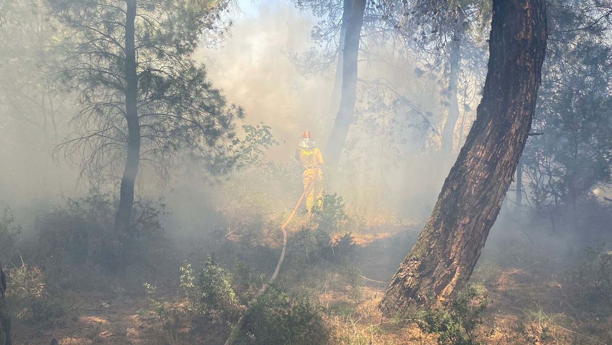 Çanakkale'de tarım arazisinde yangın