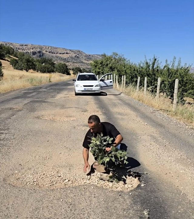 cermik te olusan cukurlara agac dikerek yolla 20002718 o