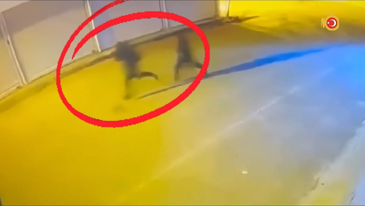Diyarbakır'da suç örgütüne yönelik operasyonun ardından adliyeye sevk edilen şüpheliler.