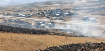 Gaziantep'te zeytinlikte başlayıp ormana sıçrayan yangın söndürüldü