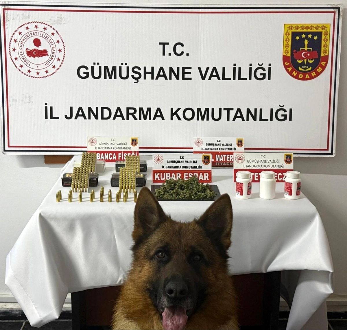 Gümüşhane'de jandarma ekiplerince uyuşturucu ve silah operasyonu yapıldı.
