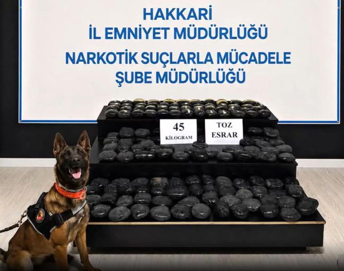 Hakkari'de aranan şahıs 45 kilo uyuşturucuyla yakalandı