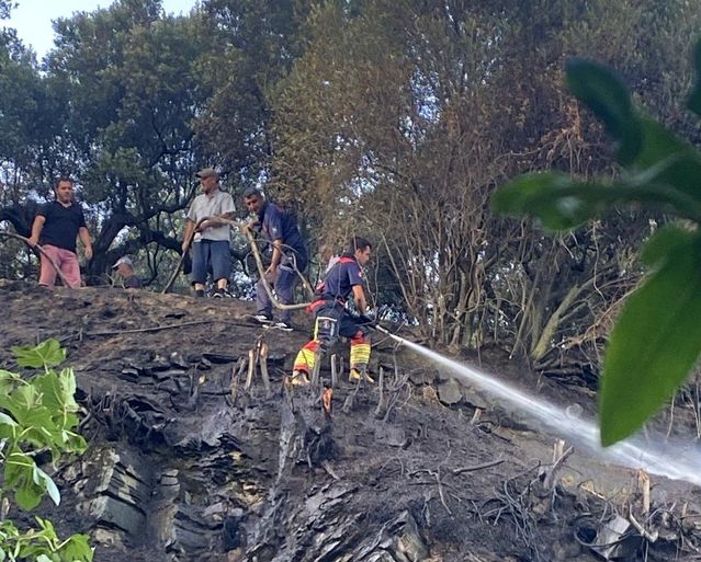 Marmara’da çıkan ot yangını ormana sıçramadan söndürüldü