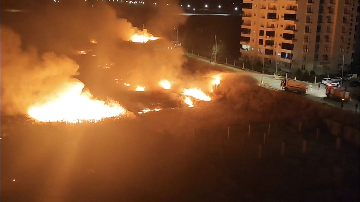 Nusaybin'de sınırdaki mayınlı araziye ulaşan anız yangını 3 saatte söndürüldü