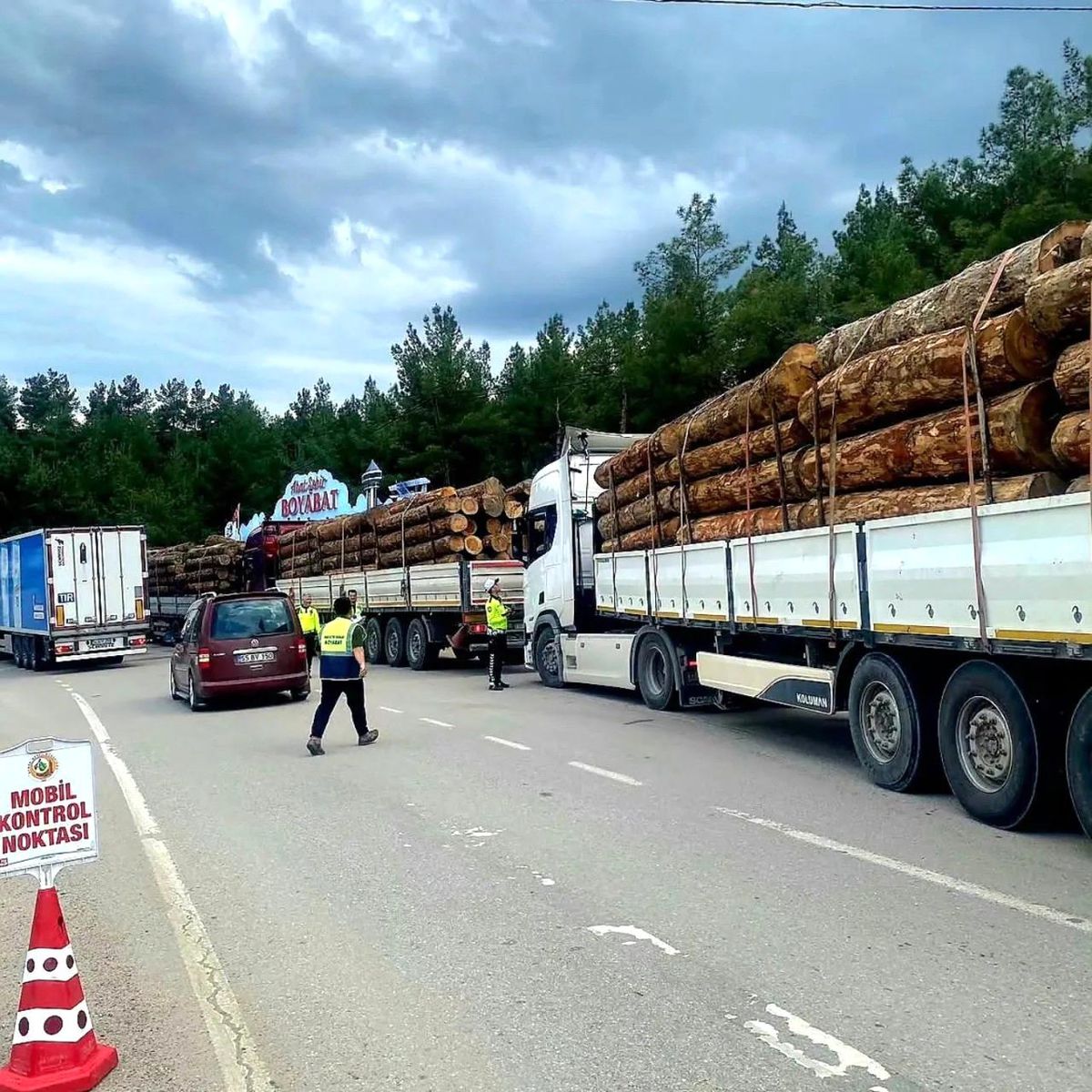 Sinop'ta orman emvali nakilleri denetimi
