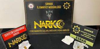 Şırnak'ta kaçakçılık ve asayiş operasyonlarında 1 şüpheli tutuklandı