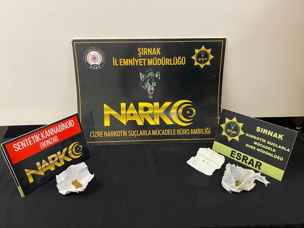 Şırnak'ta kaçakçılık ve asayiş operasyonlarında 1 şüpheli tutuklandı