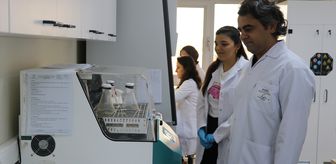 Akademisyenler bor ve gümüş mineralli iki yara bakım ürünü geliştirdi